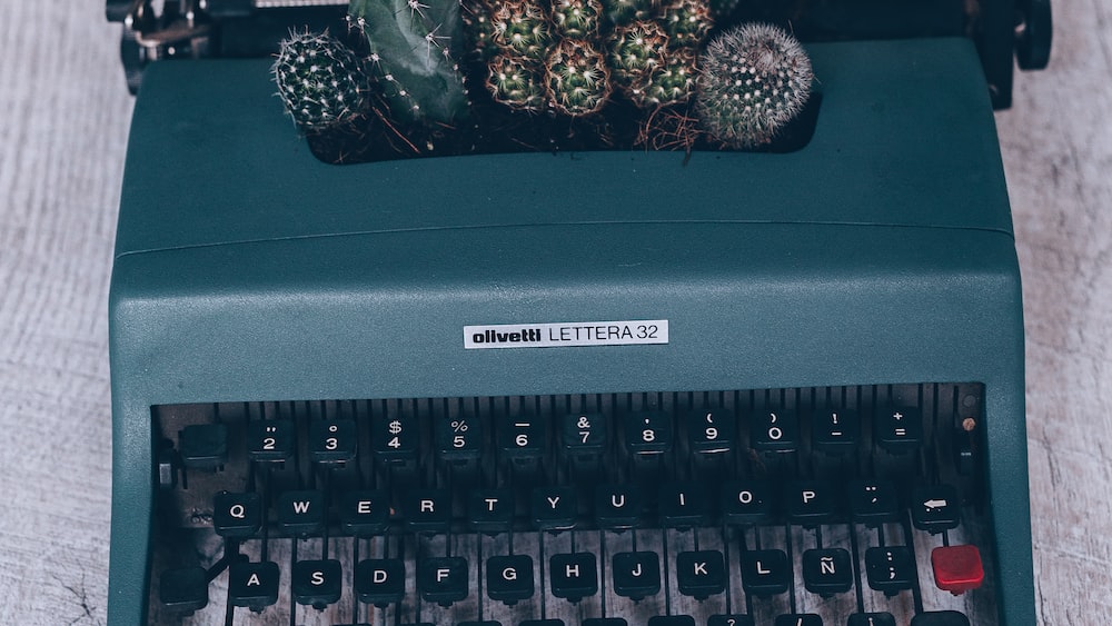 Cacti and Typewriters: A New Meaning