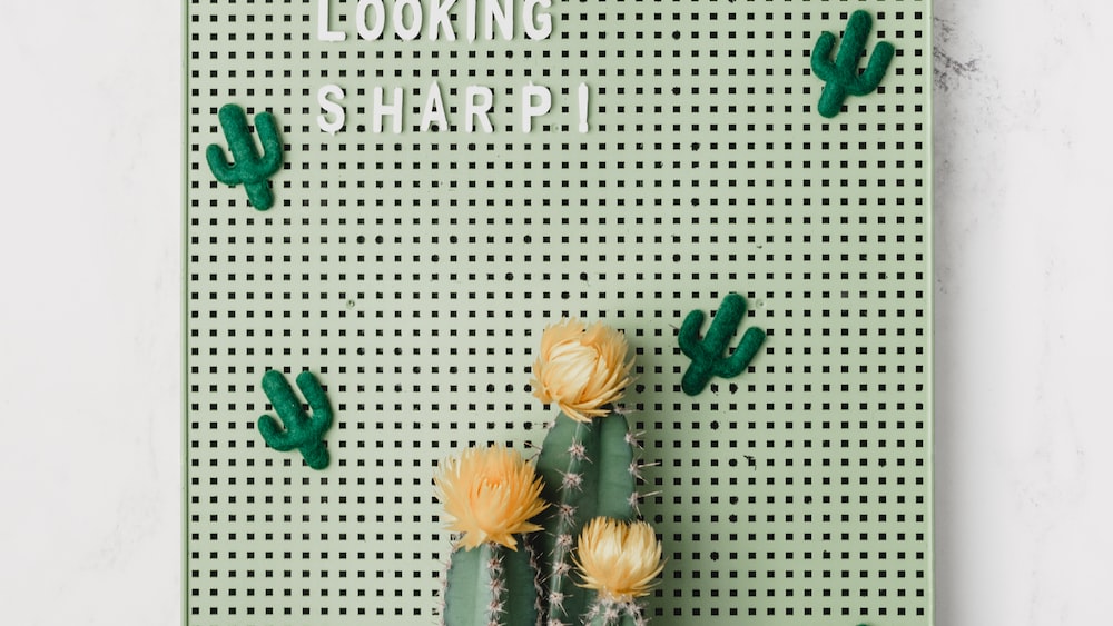 Cacti in Green Wall Decor