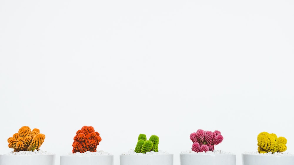 Cactus Gems: Colorful Cacti in a Row