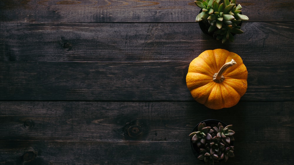 Seasonal Adaptation: Pumpkin and Succulents